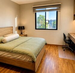 Changi Heights (D17), Terrace #555026271
